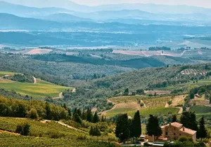 Airplane Napa Valley Flight Tour