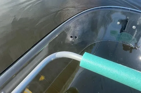 Clear Kayak Ecotour at Robinson Preserve in Bradenton, Florida