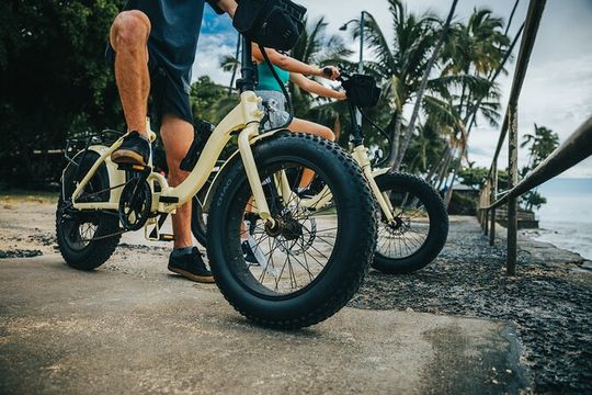 Waikiki Electric Bike Self Guided Tour- Manoa Falls Bike and Hike