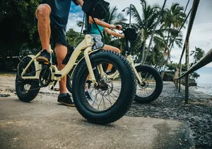 Waikiki Electric Bike Self Guided Tour- Manoa Falls Bike and Hike