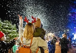 Winter City Lights Experience Washington DC