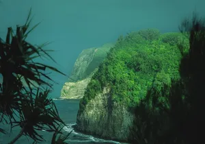 Private Guided Hiking and Photography Experience in Hawaii