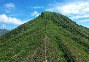Full-Day Guided Adventure in Koko Head Stairs and Southeast O'ahu