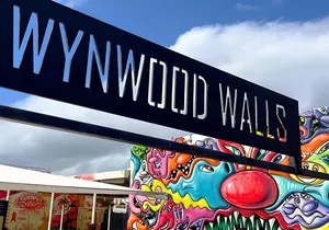 Explore in the Vibrant Art Scene of Wynwood Art Private Tour