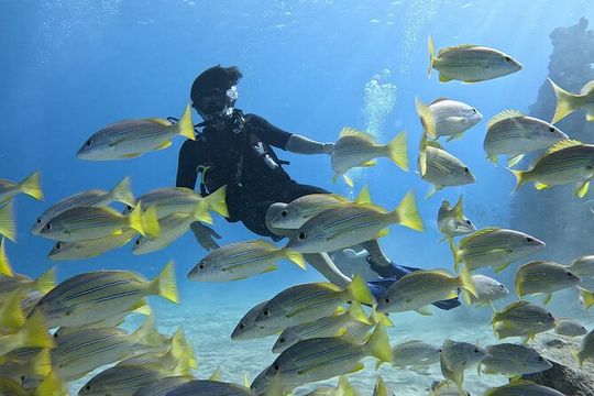 SCUBA Dive at Electric Beach with Photos -No Certification Needed