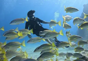 SCUBA Dive at Electric Beach with Photos -No Certification Needed