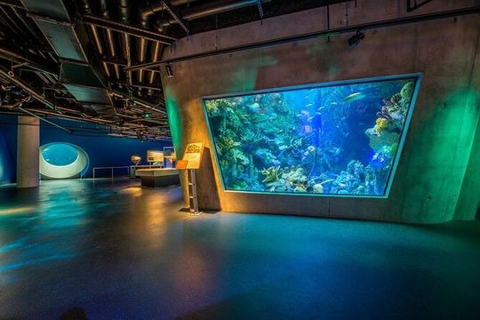 Frost Science Museum Admission Tickets