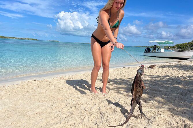 Private Exuma Cays Day: Iguana, Shark, Pigs, Sandbar & Lunch
