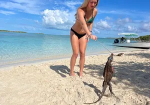 Private Exuma Cays Excursion:Iguana, Shark, Pigs, Sandbar & Lunch