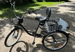 Self-Guided 2-hour Kissimmee Trike Adventure Awaits at Toho Bikes