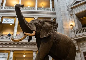 Smithsonian Highlights Walking Tour w/ Reserved Air & Space Entry