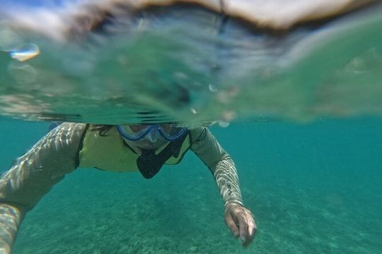 Hanauma Bay Guided Snorkeling Tour with Transportation