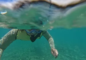 Hanauma Bay Guided Snorkeling Tour with Transportation