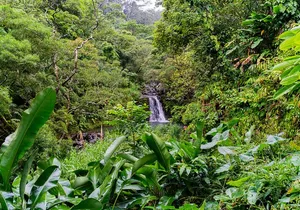 VIP Private Full-Day Road to Hana Tour from Wailea - Kihei