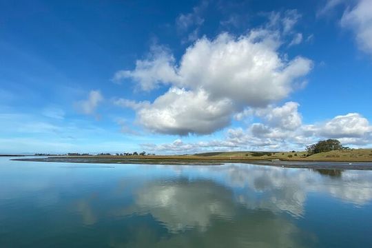 Wildlife Safari Boat Tour in Scenic Monterey Bay Wetland
