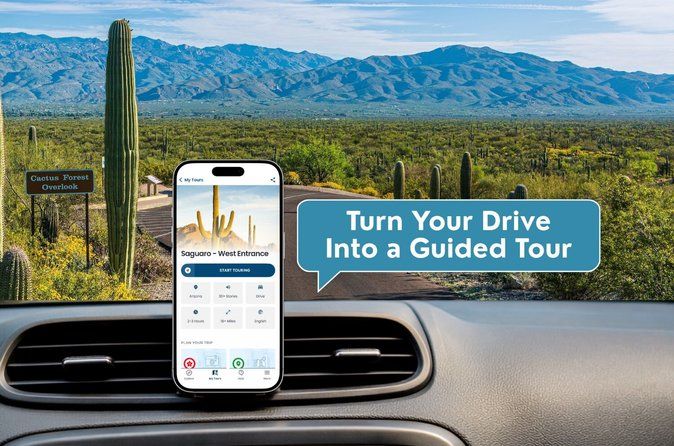 Saguaro National Park Self-Guided Driving Audio Tour