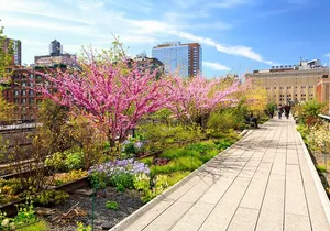 Private Tour of High Line, Chelsea, Hudson Yards and Edge