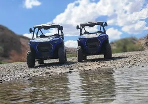 Colorado River Blast: Adrenaline RZR Tour + Ghost Town + Lunch