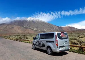 Small-Group Half-Day Tour of Teide National Park with Pickup