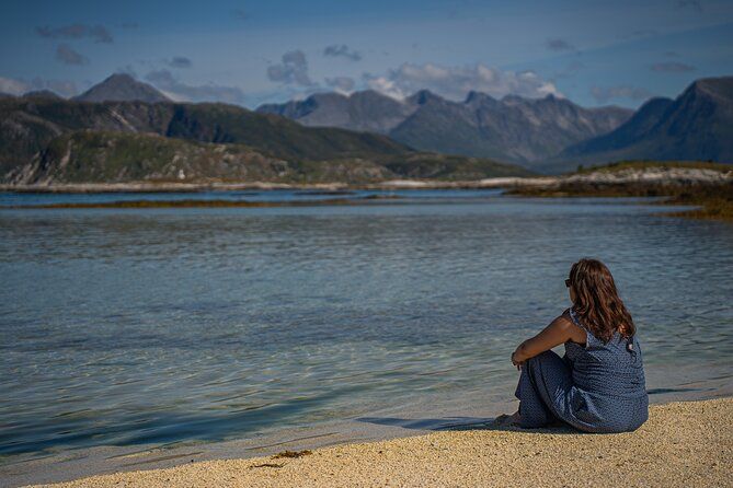 Arctic Fjord Roadtrip with Scenic Picnic from Tromso