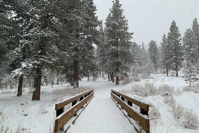 Mount Charleston Tour from Las Vegas