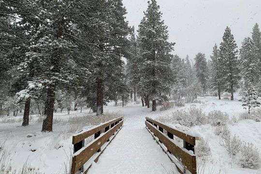 Mount Charleston Tour from Las Vegas