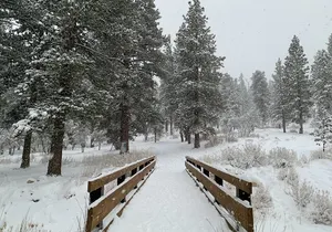 Mount Charleston Tour from Las Vegas