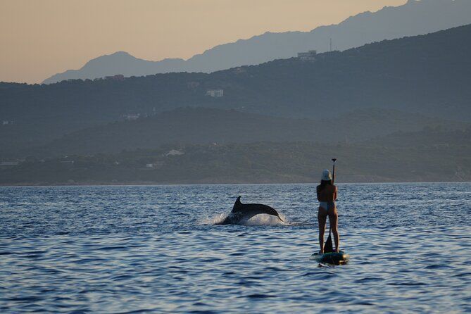 Golfo Aranci : SUP & Dolphins, Snorkeling and Photos - Certified Guides