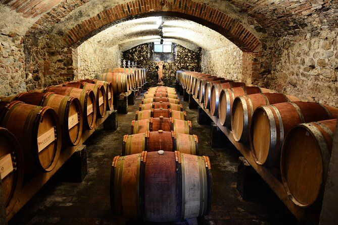 Exclusive Private Chianti Classico Experience from Florence