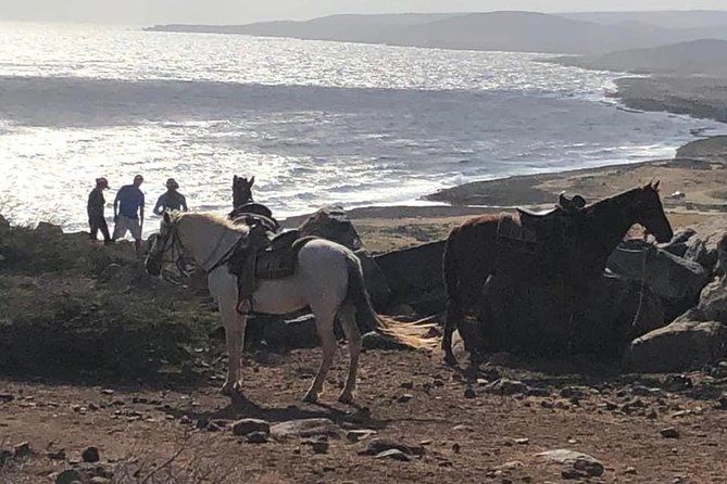 Horseback Riding 2 Hr SUNSET, Rock formation & North Coast Ride