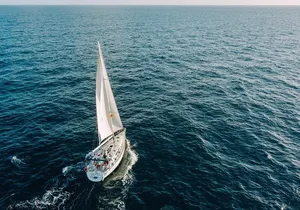 Tenerife 3-Hour Discover Whales and Dolphins