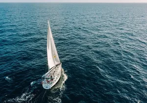 Tenerife 3-Hour Discover Whales and Dolphins