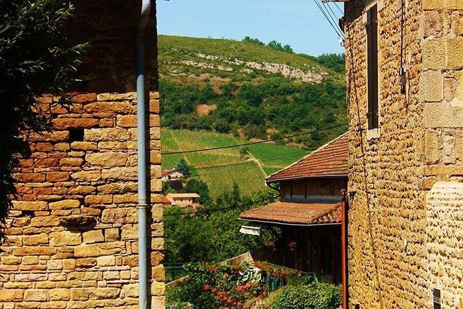 Beaujolais wine tour from Lyon half day