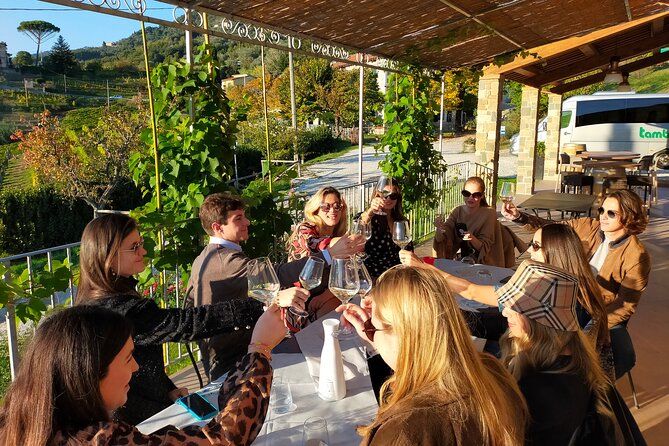 Private wine tour on the magical hills of Lucca with sommelier