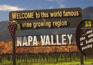 Shore Excursion in SFO - Enchanted Napa & Sonoma Wine Tour in SUV