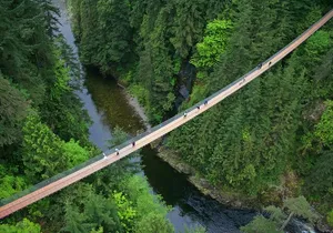 Vancouver City Sightseeing Tour: Capilano Suspension Bridge & Vancouver Lookout