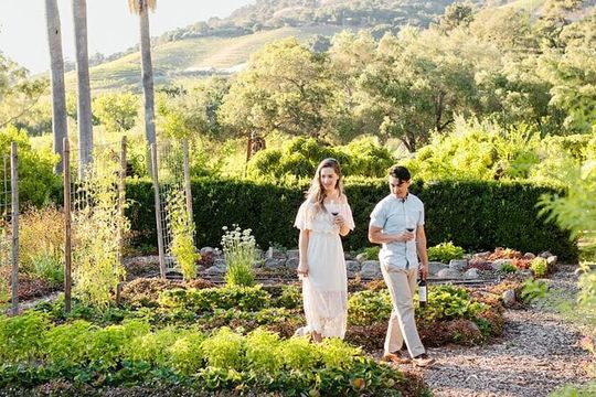 6 Hour Sonoma Boutique Wine Tour-Private Black Car,up to 6 Guests