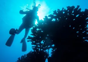 1 Tank Discover Scuba at Koloa Landing with No Experience needed