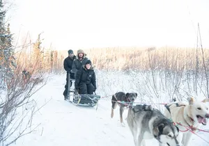 Dogsled and Reindeer Day Trip to Borealis Basecamp