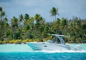 Reef Discovery Private Half Day Lagoon Tour