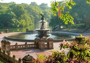 Central Park Wonders And Secrets Shared Walking Tour