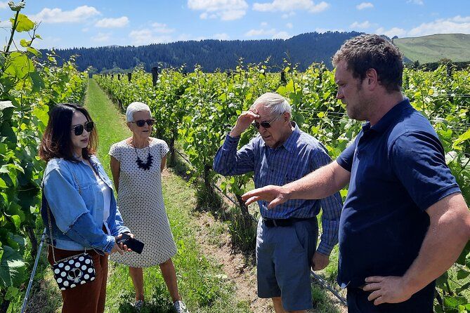 Martinborough Winery and Foodie Day Tour with vineyard lunch