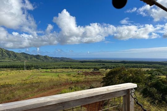 Shaka Zipline: 8 Line Zipline Tour on Kauai (80 - 260 lbs)