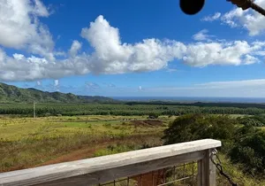 Shaka Zipline: 8 Line Zipline Tour on Kauai (80 - 260 lbs)