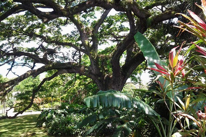 Best of St. Kitts Highlight Tour.