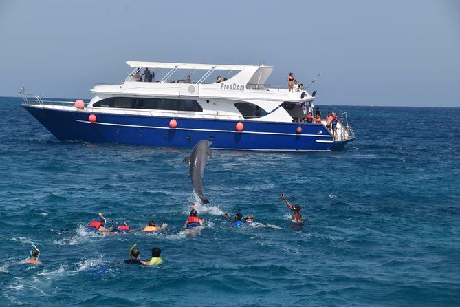 Dolphin House with lunch by Boat from Hurghada