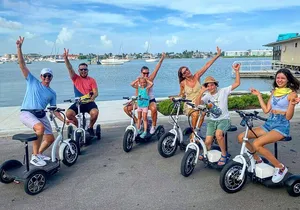 Electric Trike Tour of Naples