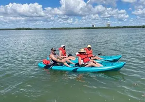 Dolphin and Manatee Kayak Tour of Daytona Beach