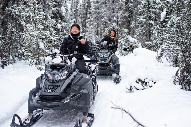 Reindeer and Snowmobile Day Trip to Borealis Basecamp with Lunch
