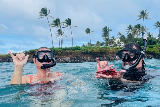 Guided Snorkeling for Beginners with Flotation Wetsuit